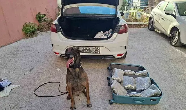 Balıkesir polisinden 'Narkorekor'
