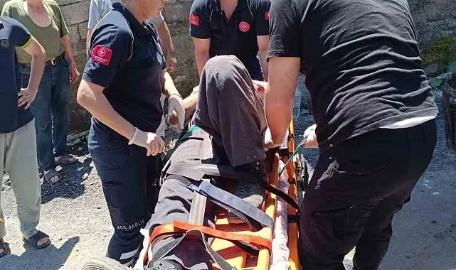 Alaplı'da 'pat-pat' kazası: 2 yaralı