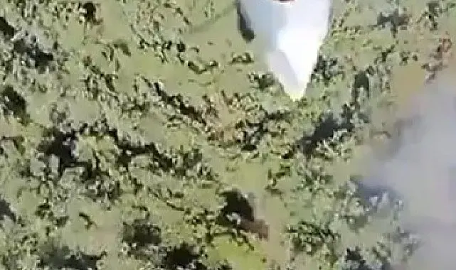 Manisa'daki orman yangını kontrol altına alındı