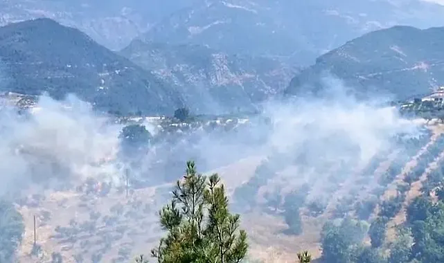 Kahramanmaraş'ta bahçe yangını