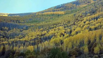 Kayseri Ortaseki Ormanları Sonbahar Renkleriyle Görsel Şölen Sunuyor