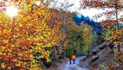Kahramanmaraş Göksun İlçesinde Sonbahar Renkleri Büyülüyor