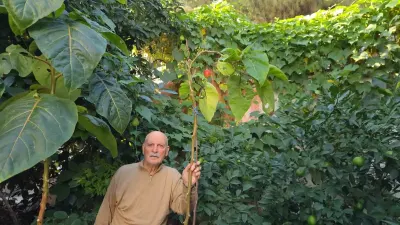 Emekli Öğretmen Bahçesinde 200 Çeşit Egzotik Ürün Yetiştiriyor