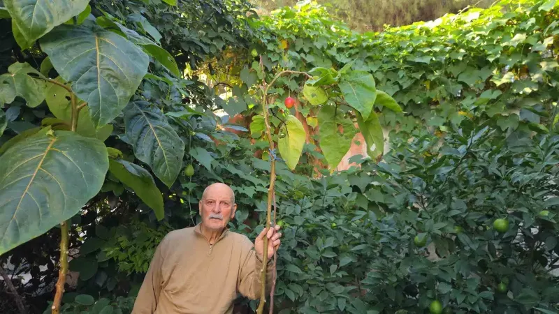 Emekli Öğretmen Bahçesinde 200 Çeşit Egzotik Ürün Yetiştiriyor