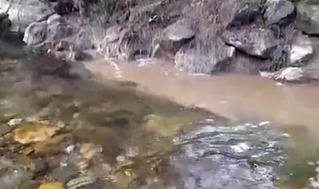Bolu'da kanalizasyon sularının dereye karışmasına tepki