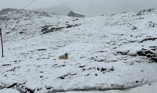Sonbahar mevsiminin ilk karı Kaçkarlar'ı beyaza bürüdü
