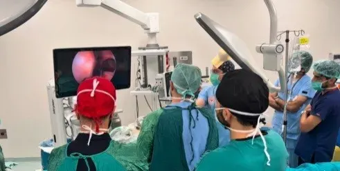 Erzincan Mengücek Gazi Eğitim ve Araştırma Hastanesinde Rinoloji Sempozyumu Düzenlendi