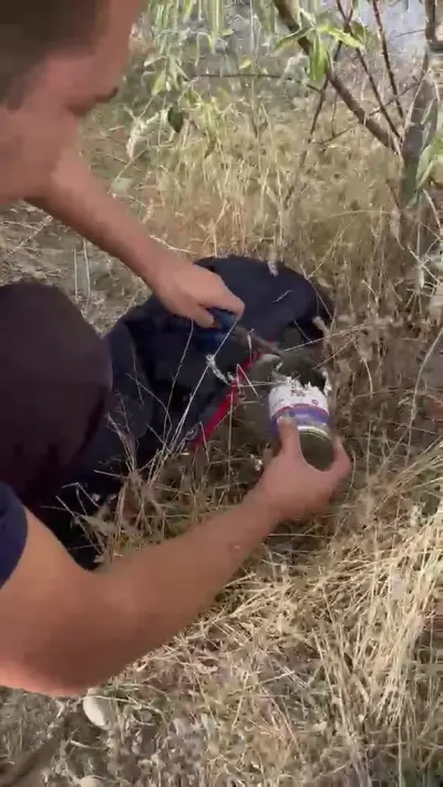 Kayseri'de Konserve Kutusuna Kafası Sıkışan Kedi İtfaiye Tarafından Kurtarıldı