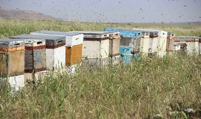 Endemik çiçekleri ile dikkat çeken Alem Dağı, Ordulu ailenin üç kuşaktır vazgeçilmez rotası oldu