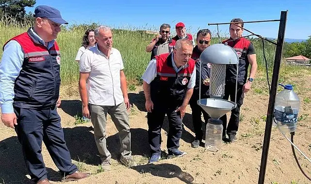 Karabük'te safran üretim alanlarında teknik inceleme yapıldı