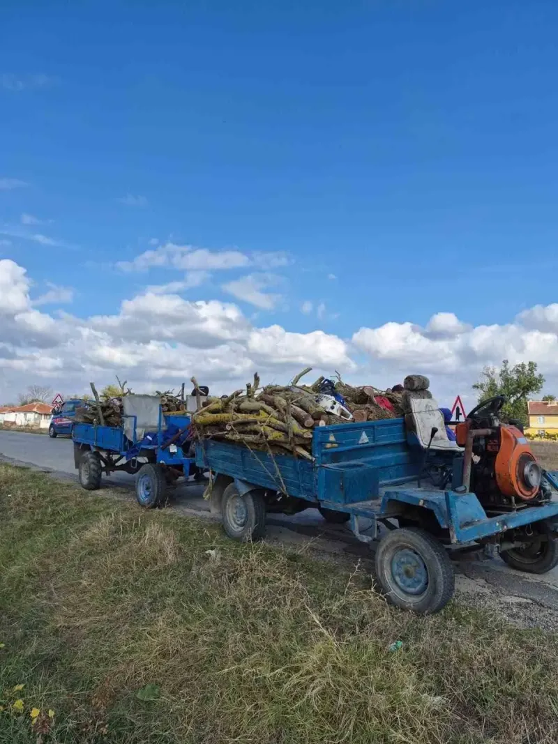Edirne'de Hazine Arazisinden İzinsiz Odun Kesen İki Kişiye Adli İşlem