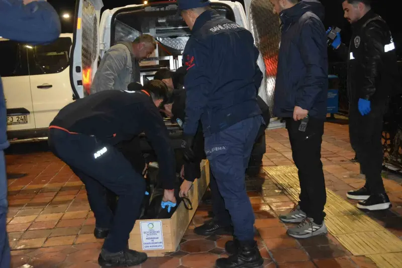 Ordu Ünye İskelesinde Denize Atlayan Genç Hayatını Kaybetti