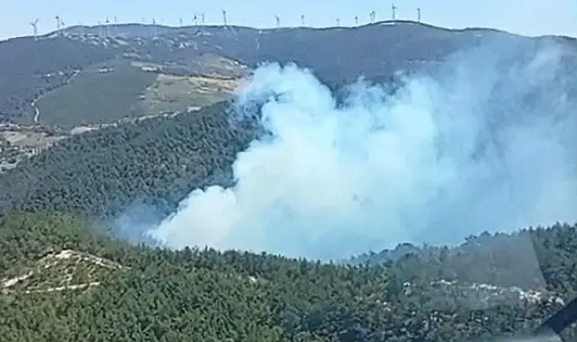 Soma'daki orman yangınına havadan ve karadan müdahale başladı