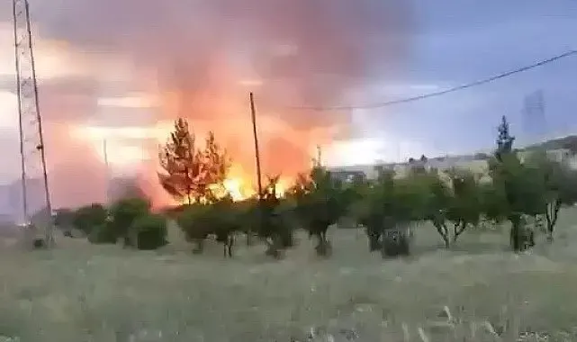 Elektrik direğinden çıktığı iddia edilen yangın buğday tarlasını küle çevirdi