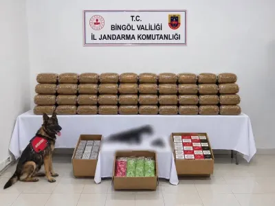 Bingöl'de Hapis Cezası Bulunan 4 Firari Yakalandı