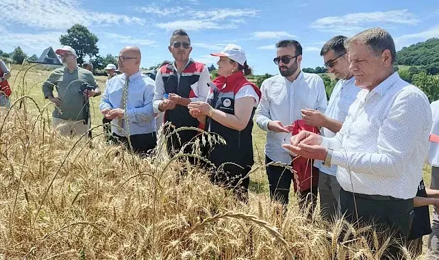 "Altındaneler Toprakla Buluşuyor" projesinde hasat heyecanı