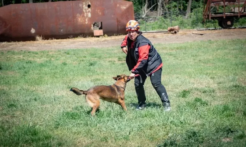 Muğla Arama Kurtarma Köpekleri Afyonkarahisar Sınavını Başarıyla Tamamladı