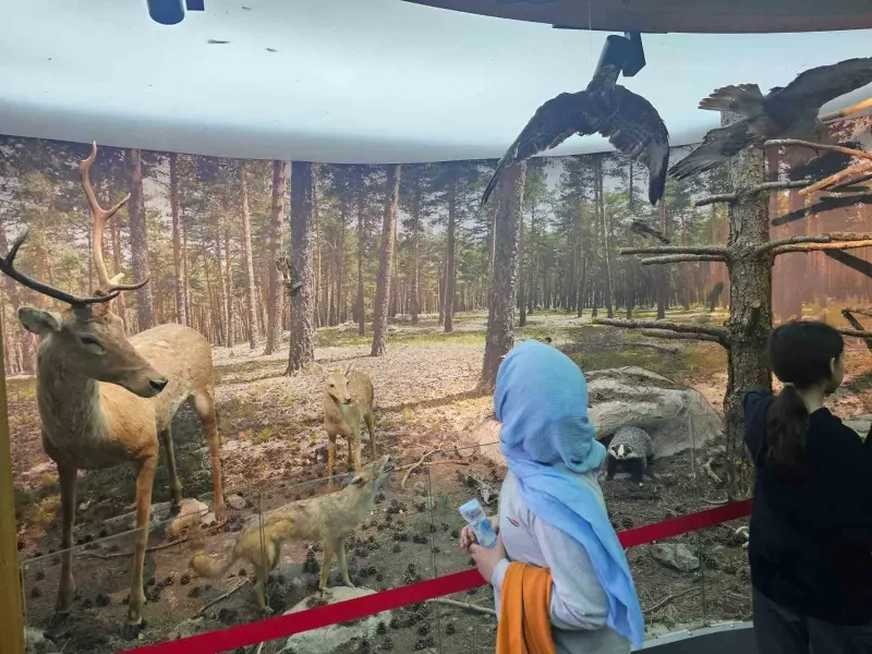Kütahya Çamlıca Tabiat Parkı'nda Öğrencilere Yönelik Doğa Eğitimi Düzenlendi