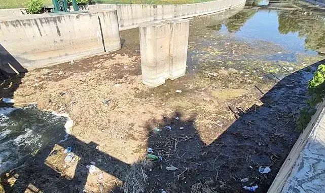 Porsuk Çayı'nın tüm pisliği burada birikiyor