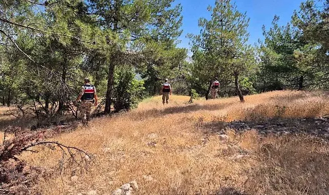 Orman yangınlarına karşı jandarmadan denetim