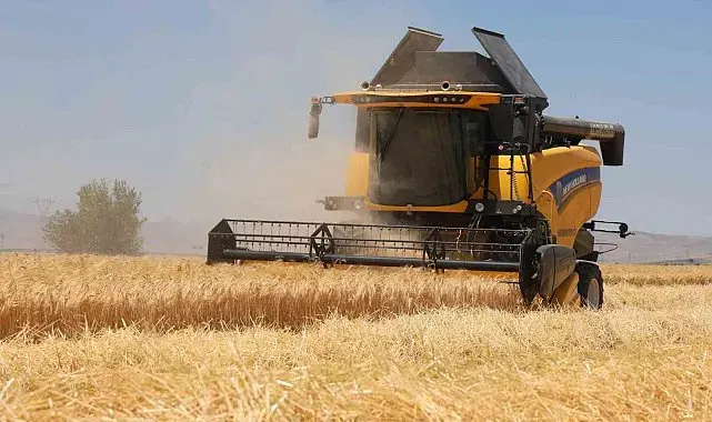 Konya Ovası'nda rekor beklenen hasat sezonu başladı