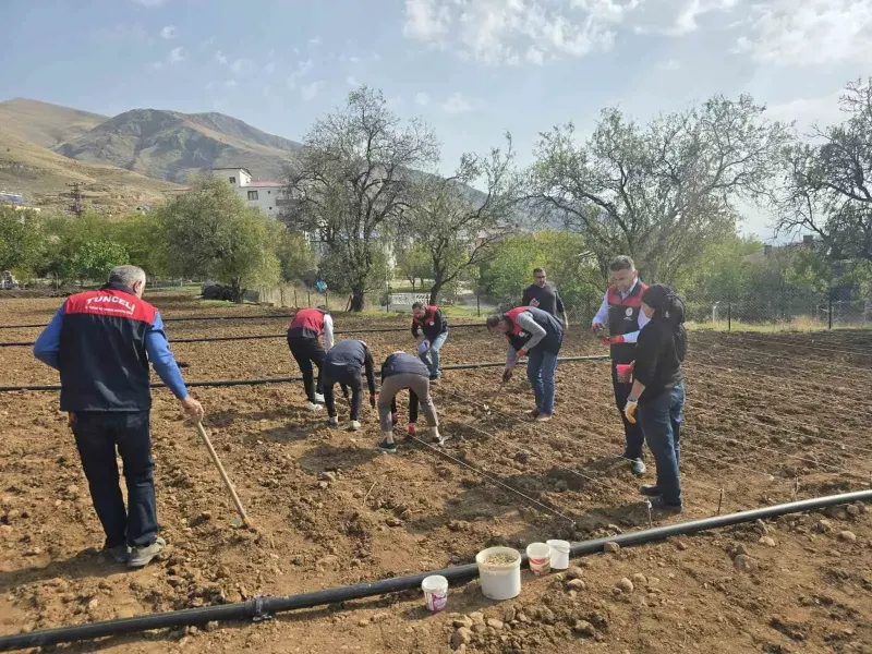 Tunceli'de Yalnız Yaşayan Üreticiye Tarım Ekiplerinden Destek