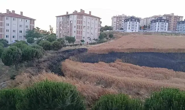 Bandırma'da buğday tarlası yangını korkuttu