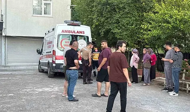 Dut toplarken ağaçtan düşüp yaralandı