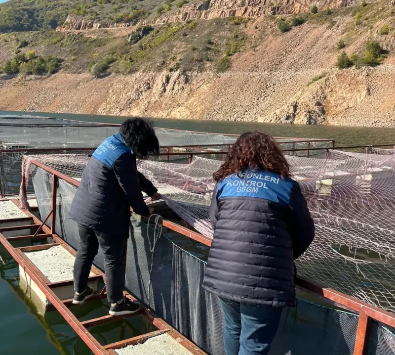 Ordu'daki Alabalık Tesislerinde Kapsamlı Su Ürünleri Denetimi