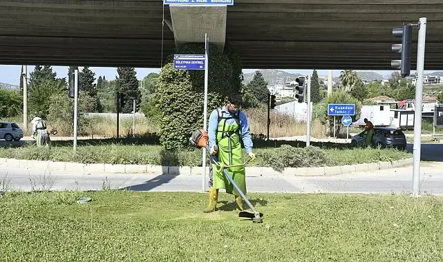 Kuşadası'nda yeşil alanlar bakıma alındı