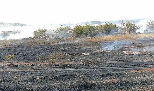 Antalya'da otluk alan yangını itfaiye ekiplerince söndürüldü
