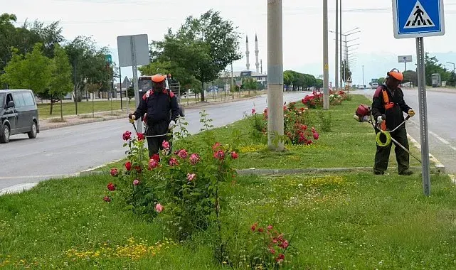Erzincan'da yeşil alanlarda bakım çalışmaları sürüyor