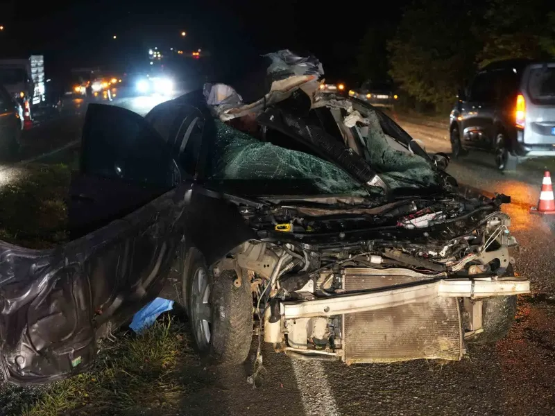Kastamonu'da Büyükbaş Hayvana Çarpan Otomobilin Sürücüsü Yaşamını Yitirdi