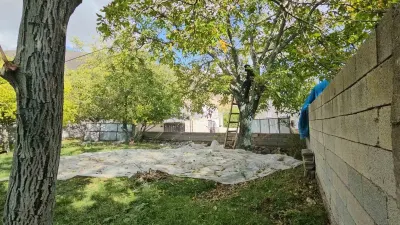 Adilcevaz Cevizinde Hasat Sezonu Yoğun Mesaiyle Sürüyor