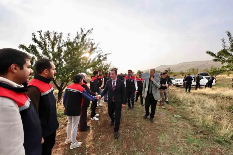 Bitlis Valisi Karakaya Güroymak İlçesindeki Badem Hasadına Katıldı