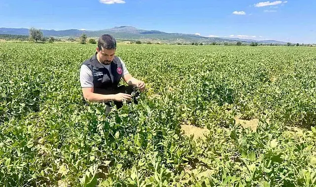 Planlı tarımsal üretim için saha çalışmaları sürüyor