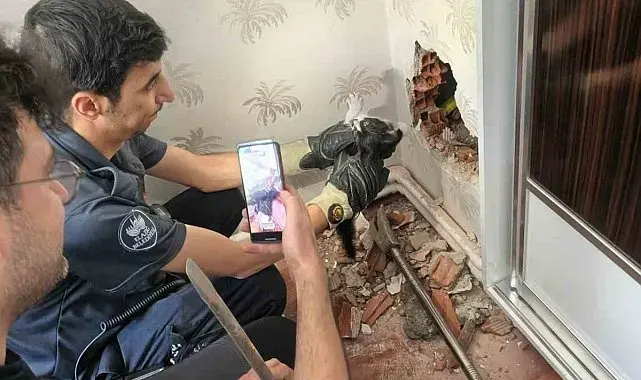 Baca boşluğunda mahsur kalan yavru kedi kurtarıldı