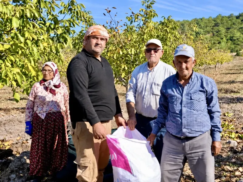 Manisa Akhisar’da Orman Köylüsünün Ağaçlandırma Projeleri Gelir Kapısı Oldu