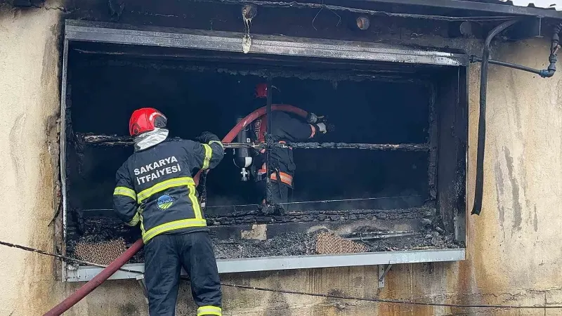 Sakarya Pamukova'da Tavuk Çiftliğinde Çıkan Yangın Söndürüldü