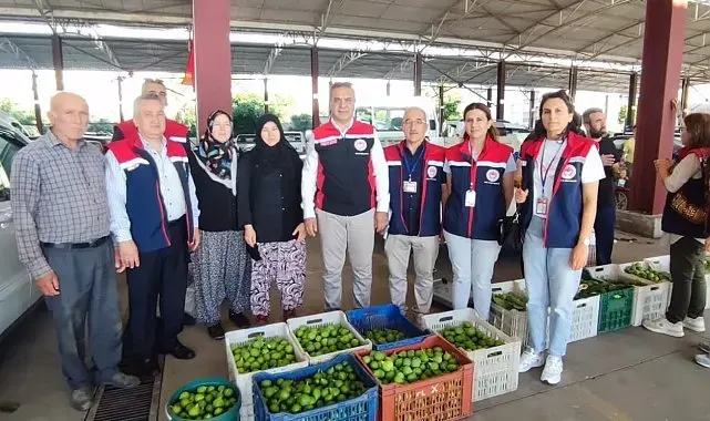 Aydın inciri için denetimler sürüyor