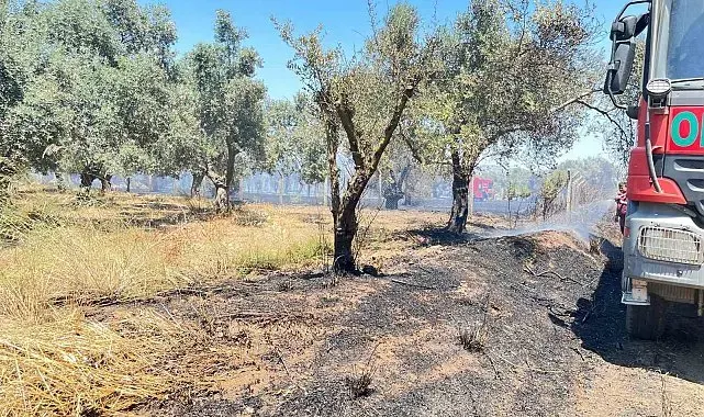 Korkutan arazi yangını 1 saatte kontrol altına alındı