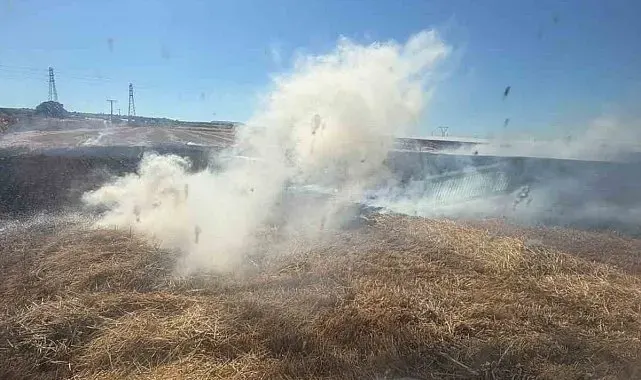Bandırma'da çıkan anız yangını söndürüldü