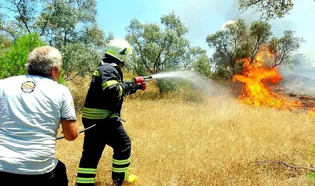 Menteşe'de zeytinlik yangını