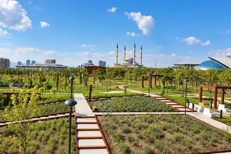 Başkentte Kurulan Beştepe Millet Ormanı Ziyaretçilerini Bekliyor