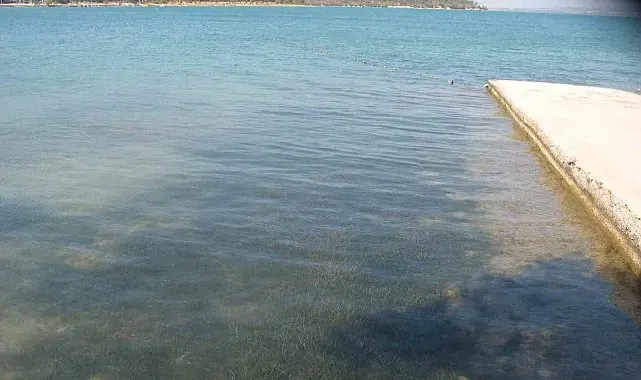 Didim'in deniz suyu kalitesi dikkat çekti