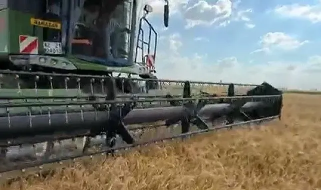 Konya'da hububat hasadı başladı