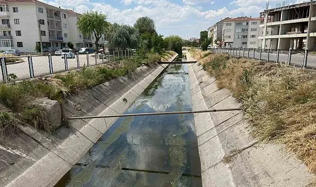 Sulama kanalı için muhtardan "yeşil alan" talebi