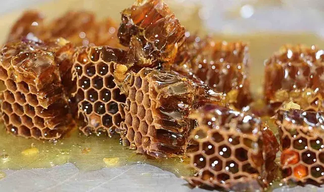 Anzer Balı'nın yeni sezon kilogram satış fiyatı 7 Bin TL olarak belirlendi