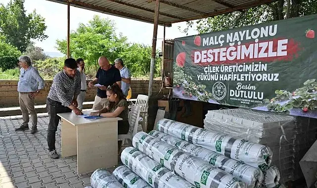 Manisa Büyükşehir'den çilek üreticilerine malç naylonu desteği