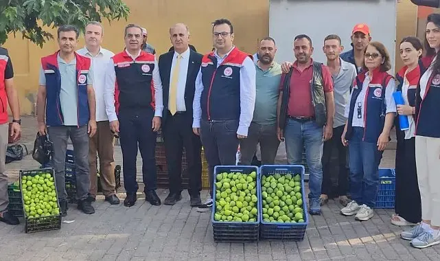 Aydın'ın dünya markası inciri için sahada yoğun mesai